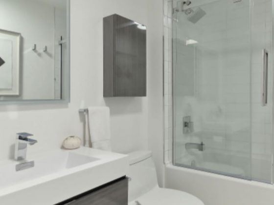 Toronto Bathroom Renovation