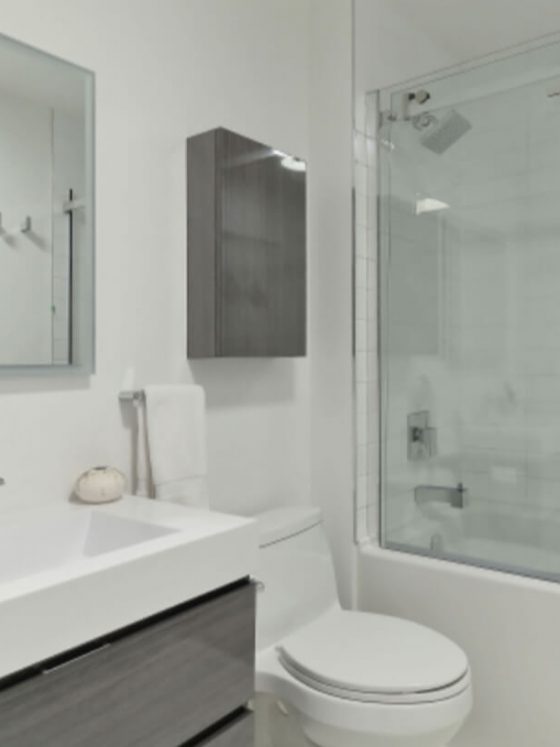 Toronto Bathroom Renovation